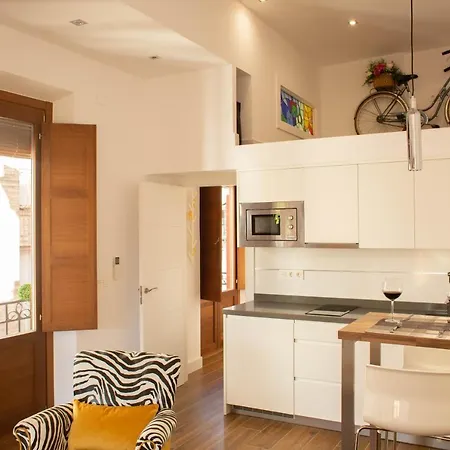 Aia Loft Bibrambla