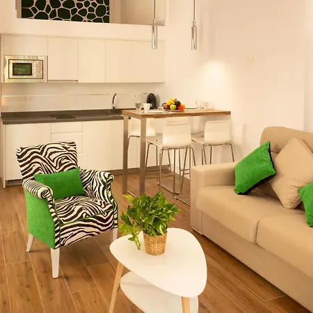 アパート Aia Loft Bibrambla グラナダ