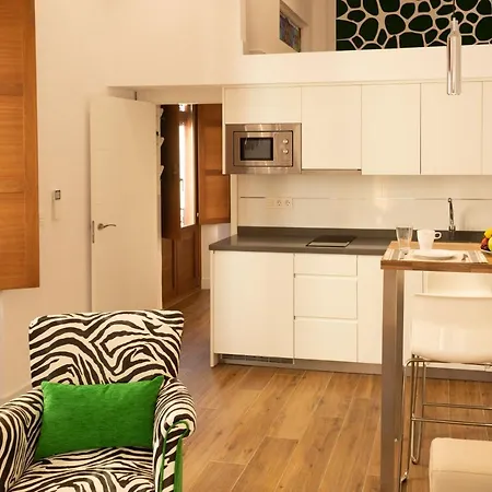 Aia Loft Bibrambla Apartment Granada