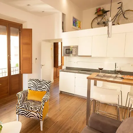 アパート Aia Loft Bibrambla グラナダ