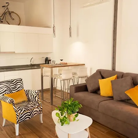 Aia Loft Bibrambla Apartment Granada