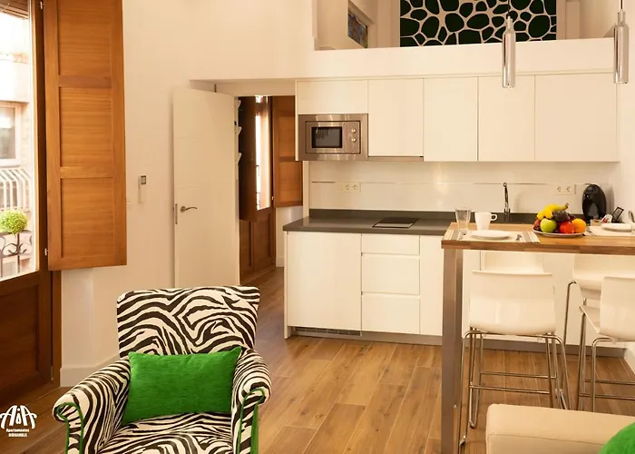 Aia Loft Bibrambla Appartamento Granada