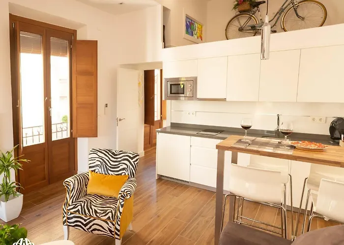 Appartamento Aia Loft Bibrambla Granada