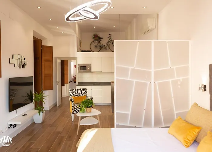 Aia Loft Bibrambla Appartamento *